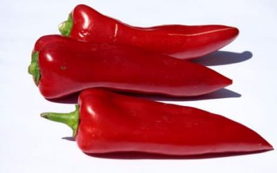 Gevulde paprika’s